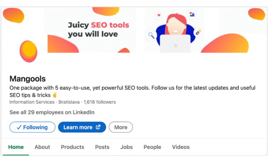 SEO tools for beginners