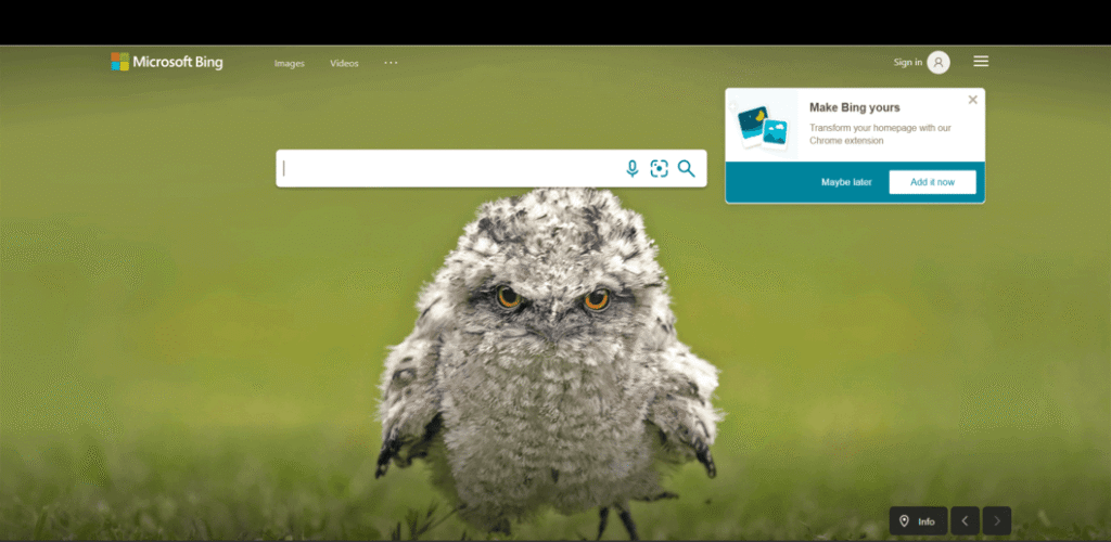 Alternative Search Engines